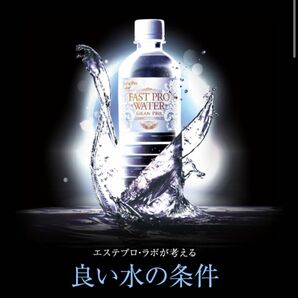 エステプロラボ ファストプロウォーター ダイエットウォーター　500ml 48本