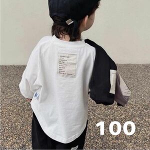 1点限り☆大人気韓国風カジュアル長袖Tシャツ バックプリント ロンT 100 白 黒