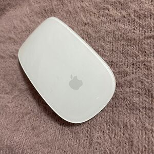 Apple Magic Mouse2 A1657 MacBook マックブック　マウス　アップル　パソコン