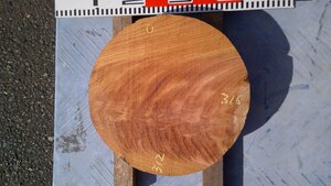 16-474　老木欅（ケヤキ）の乾燥丸材（一尺）・・丸盆・菓子器・鉢・皿・椀・ロクロ・挽きもの