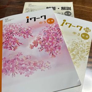 iワーク 中3 社会 iワークプラス 解答付き 入試対策 受験対策 定期テスト対策 教科書準拠 問題集