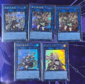 遊戯王 ライナ アウス ウィン ヒータ 霊使い まとめ売り