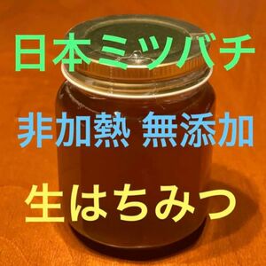 専用出品 リピート割 日本ミツバチ 150g 非加熱 生はちみつ 抗生物質なし ウイルス対策 養蜂家の一貫生産 無添加