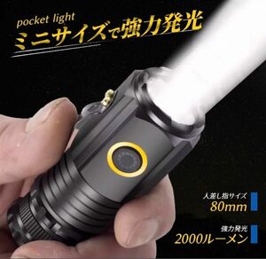 懐中電灯 小型 led 充電式 手持ち ハンディライト防水機能 夜釣りF/6