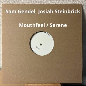 Sam Gendel Mouthfeel Serene レコード LP アナログ サム・ゲンデル vinyl ジャズ jazz