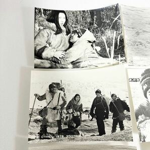 映画『アラスカ物語』/スチール写真/写真/カラー無/昭和レトロ/当時物/入手困難の画像2