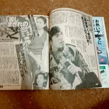 魚]女性自身 平成7年12月5日号　堀ちえみ/飯島直子/野々村真/天海祐希/長渕剛/ルビー・モレノ/加藤茶/田中美佐子_画像7