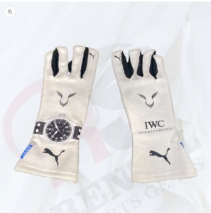  abroad limitation high quality postage included Lewis * Hamilton 2019 racing glove F1 size all sorts replica custom correspondence 