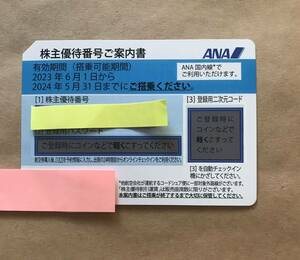 ANA 株主優待 4枚　期限:24年5月31日　現物送付