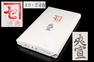 ◆天香楼◆[81]特撰 夾宣紙 (49×240cm) 50枚 古紙　経年時代物 AG8059