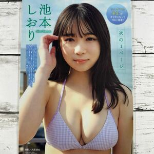 [高品質ラミネート処理][ 池本しおり ] ヤングマガジン 2023年1号 雑誌 切り抜き 4ページ 水着 グラビア アイドル 芸能人 女優