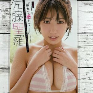 [高品質ラミネート処理][ 佐藤聖羅 ] 週刊大衆 2015年11/3号 雑誌 切り抜き 4ページ 水着 グラビア アイドル 芸能人 女優