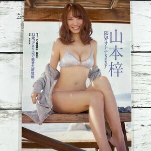 [ high quality laminate processing ][ Yamamoto .] weekly large .2013 year 3/27 number magazine scraps 3 page swimsuit bikini model performer woman super 