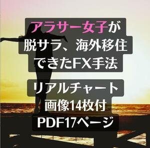 ★FX 無裁量,10年FXを研究した集大成の決定版 定価17000円 【残り3枠】スマホでも簡単設定。難しいインディケーターもいりません★