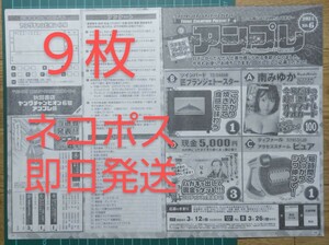 ■９枚セット■応募用紙　ヤングチャンピオン ６号　アンプレ　南みゆか クオカードなど 抽プレ 応募券 QUOカード　★ネコポス発送送料無料