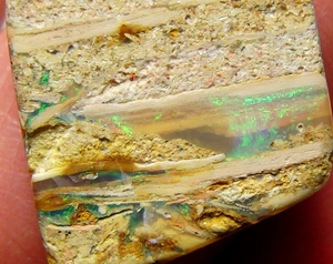 7.10 cts 天然 オパール化した木の化石 ウッドオパール グリーン ブルー 