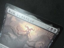 ★MTG マジック・ザ・ギャザリング 黙示録、シェオルドレッド/Sheoldred, the Apocalypse 日本語1枚 DMU_画像3