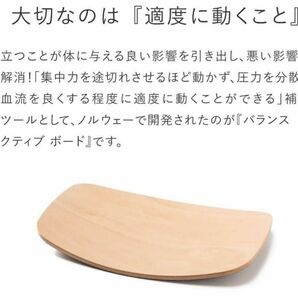 balans Active Board バランスアクティブボード 在宅勤務 バランスボード 体幹 腰痛 背筋 足踏み 腹筋 