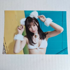 夏本あさみ L版写真 No.32 