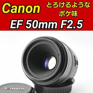 Canon EF 50mm F2.5 compact-macro コンパクトマクロ 単焦点レンズ キヤノン コンパクトマクロ