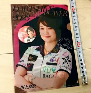 非売品 川上真奈 ダーツ ミニクリアファイル バッジ ダーツハイブ 限定 ダーツライブ