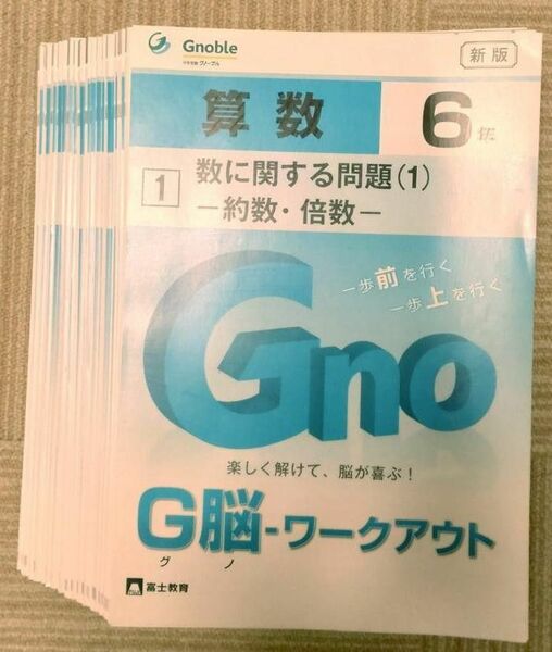 グノーブル　G脳-ワークアウト　6年20冊（未記入）【裁断済】