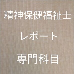 精神保健福祉士 専門科目 レポート CD-R (手書き+ワード)