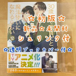 【新品未開封】３０歳まで童貞だと魔法使いになれる　１２ （ガンガンコミックスｐｉｘｉｖ） 豊田悠　通常版