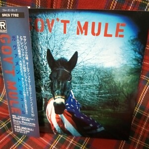 ガヴァメント・ミュール　GOV'T MULE　美品CD　70年代テイストブルース・ ロック　帯付
