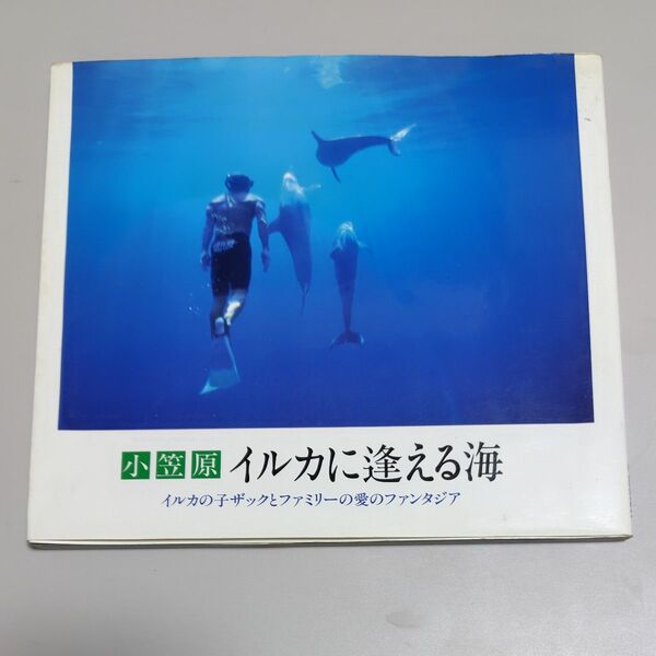 小笠原イルカに逢える海 イルカの子ザックとファミリーの愛のファンタジア 小山 哲雄 編