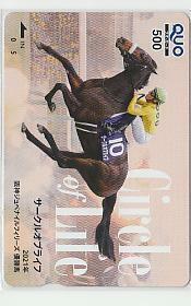 4-p956 競馬 サークルオブライフ 阪神JF クオカード