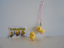 ♯Kti09NIちょこんとインコ人気2種ペット鳥マスコットストラップ♂EPOCHエポック ♀200円〓016564_b_画像1