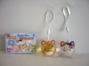 ♯Isi18KA猫CLUBまるねこCLUBウォーターますこっとニャ2種三毛猫♂SKジャパン ♀200円〓012079_b