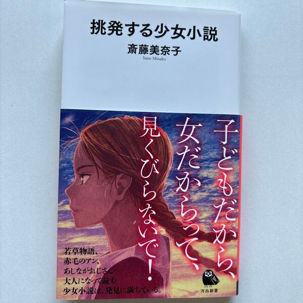  挑発する少女小説 （河出新書　０３３） 斎藤美奈子／著