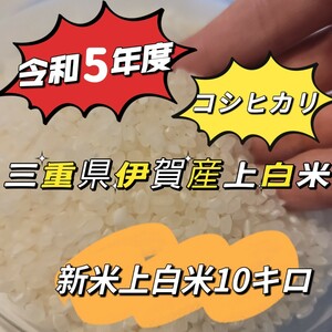 値下げ4200円→3999円！注文後に精米します！新米【令和5年産】三重県 伊賀米 コシヒカリ 10㎏ 