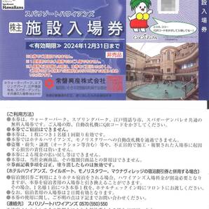 「常磐興産 株主優待」スパリゾートハワイアンズ 施設入場券(1枚) 有効期限2024年12月31日 ウォーターパーク/スプリングパーク/株主優待券の画像1