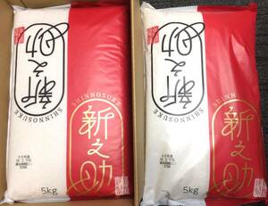 ◎コーユーレンティア 株主優待◎ 新潟県産 新之助10kg(5kg×2袋) 精米日:24年2月下旬　お米/新潟米/単一原料米/5キロ/10キロ/令和5年度産