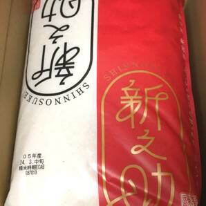 ◎デイトナ 株主優待◎ 新潟県産 新之助20kg(5kg×4袋) 精米日:24年3月中旬 お米/新潟産/単一原料米/5キロ/10キロ/20キロ/令和5年度産の画像1