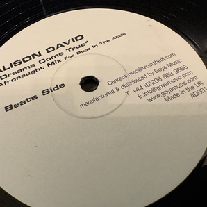 12”★Alison David / Dreams Come True (Afronaught Mix) / ヴォーカル・ブロークン・ハウス！の画像1