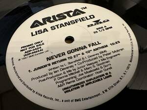 12”★Lisa Stansfield / Never Gonna Fall / ヴォーカル・ハウス・ミックス！Victor Calderone / Junior Vasquez