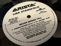 12”★Lisa Stansfield / Never Gonna Fall / ヴォーカル・ハウス・ミックス！Victor Calderone / Junior Vasquez_画像1