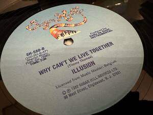 12”★Illusion / Why Can't We Live Together / ダンス・クラシック！