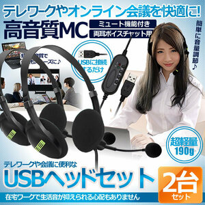 usb ヘッドセット 2台セット テレワーク ミュート機能付き 両耳ボイスチャット用 ヘッドフォン PC Windows Mac対応 2-USHEDSET