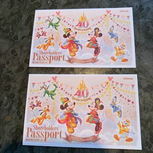 TDL パスポート 2枚 東京ディズニーランド　ディズニーシー 2025年1/31まで　