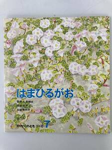 かがくのとも 184号 はまひるがお/福音館書店 1984年7月1日☆古本