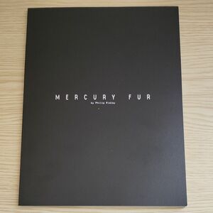 舞台　MERCURY FUR　パンフレット　吉沢亮　北村匠海