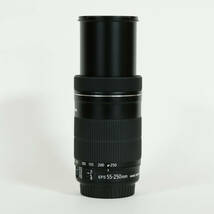 [美品｜フード付] Canon EF-S55-250mm F4-5.6 IS STM / キヤノンEFマウント / APS-C_画像6