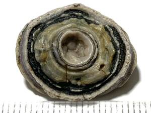 内蒙古瑪瑙・眼睛石・3−8・5g（中国産鉱物標本）