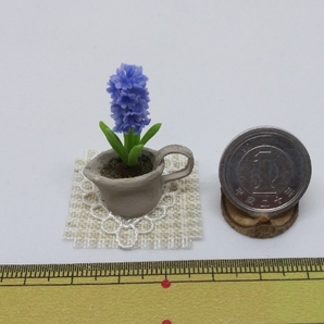 maco's miniature flower♪ヒヤシンス♪の画像3