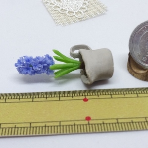 maco's miniature flower♪ヒヤシンス♪の画像5